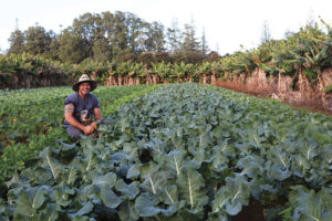 Farm and Industry Tour