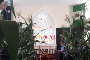 Thanksgiving day lunch