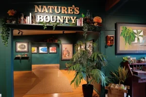 Sorrel Wilby's Gallery Tour