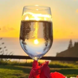 Baunti Island Fish Fry - Norfolk Island Tours
