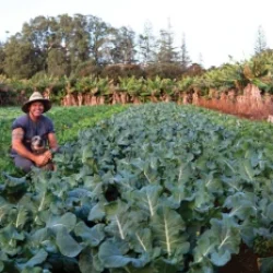Farm and Industry Tour