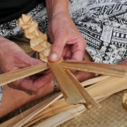 Island Culture Tour Weaving