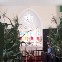 Thanksgiving day lunch